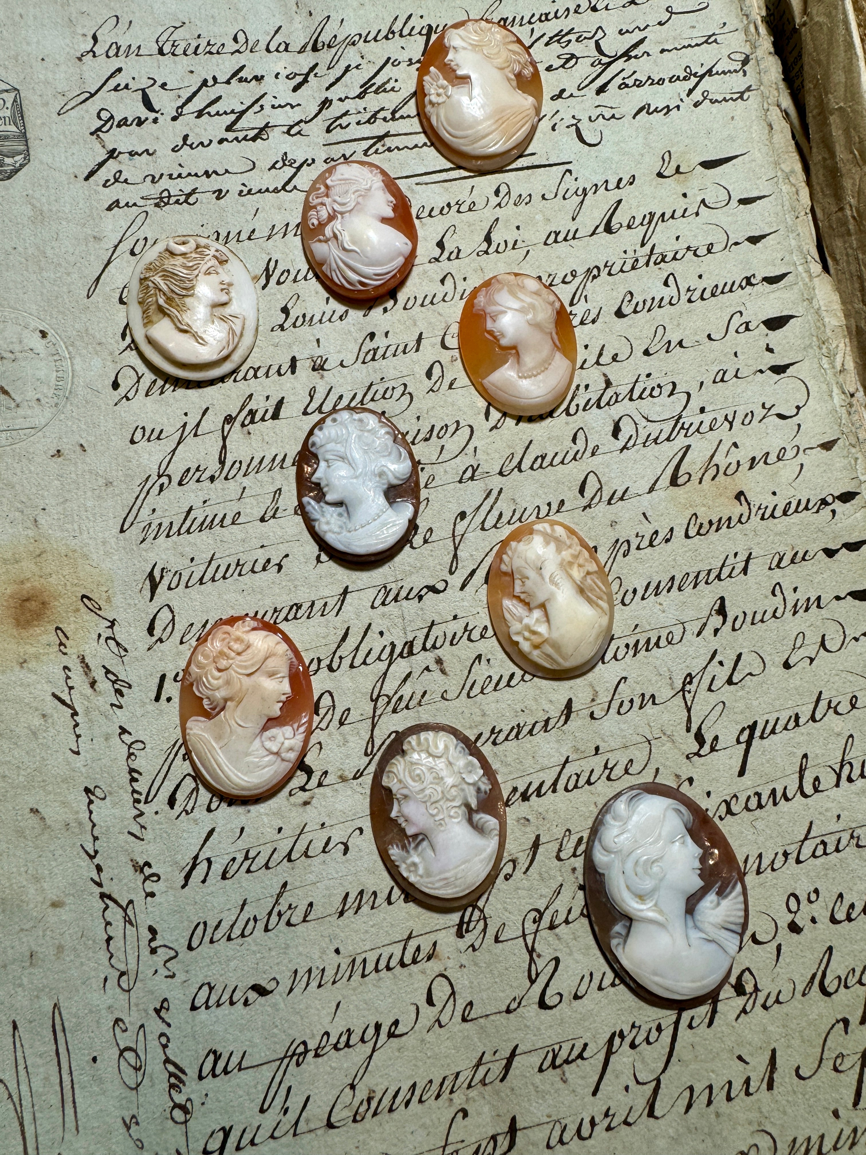 Carved Italian Shell Cameos Circa 1800s - C