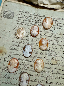 Carved Italian Shell Cameos Circa 1800s - C