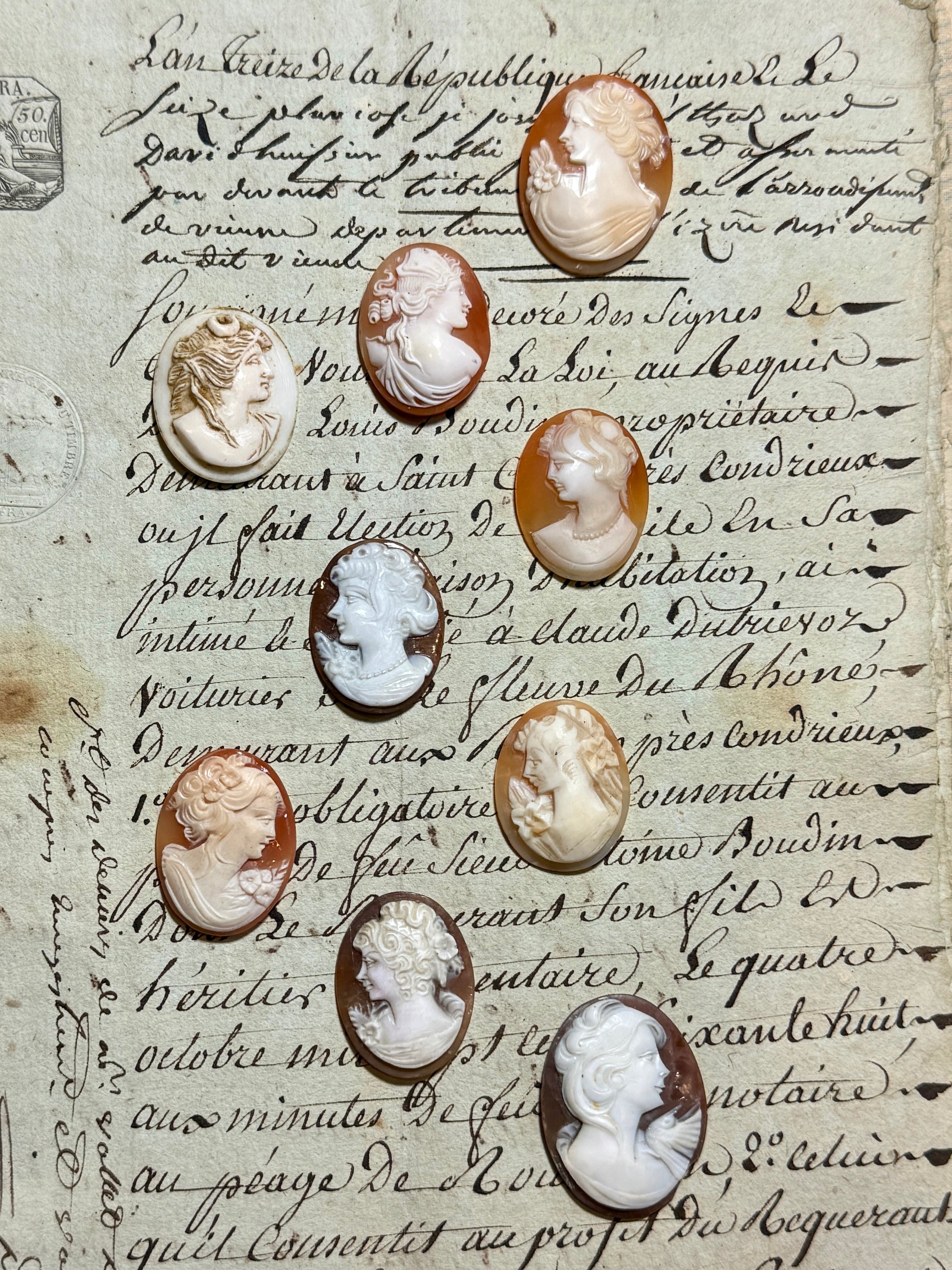 Carved Italian Shell Cameos Circa 1800s - C