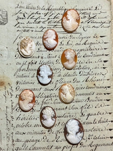 Carved Italian Shell Cameos Circa 1800s - C
