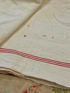 1800s Antique French Linen Torchon Bolt