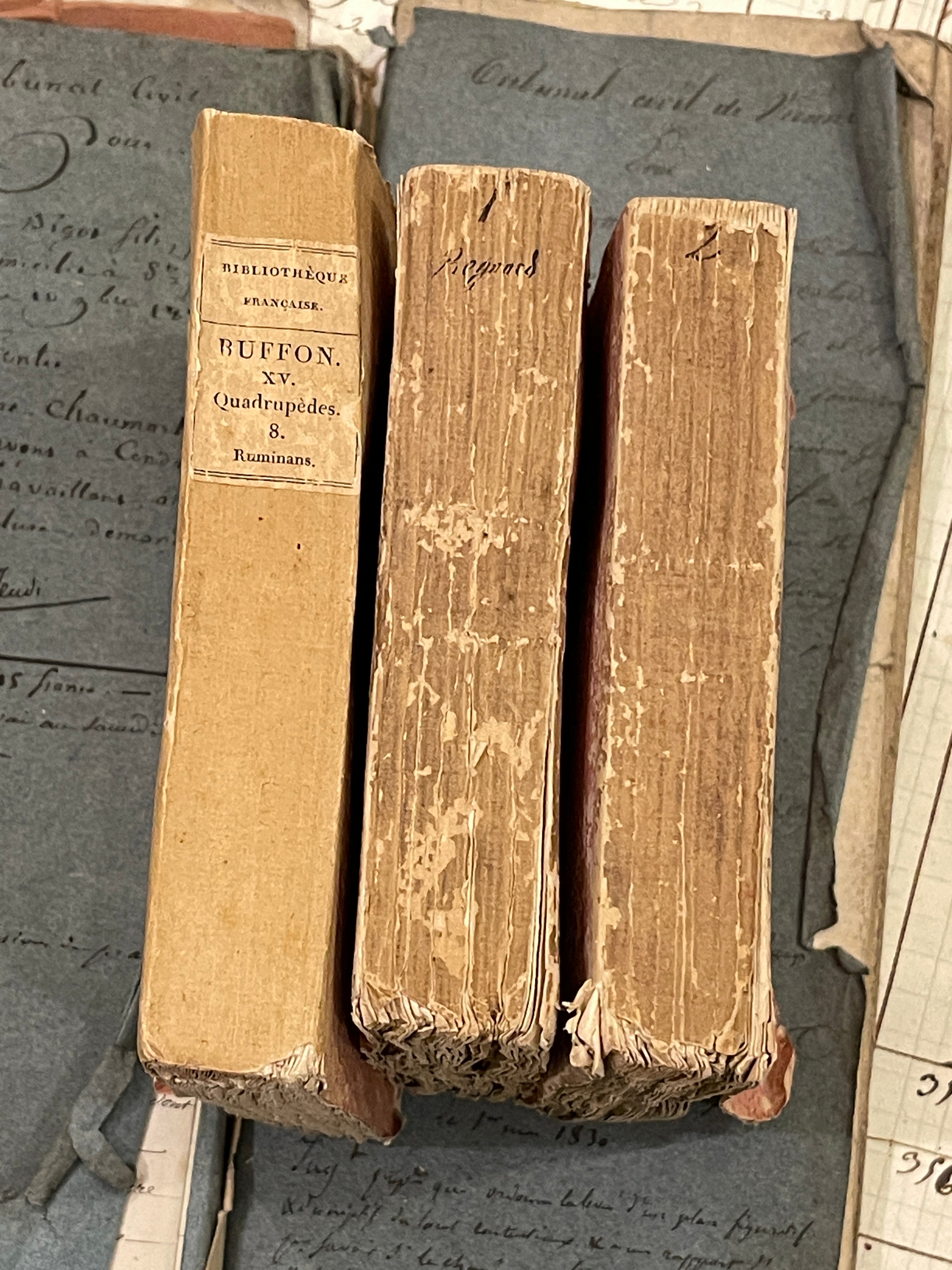 Darling Antique French Deckled Edge PINK Paste Paper Books