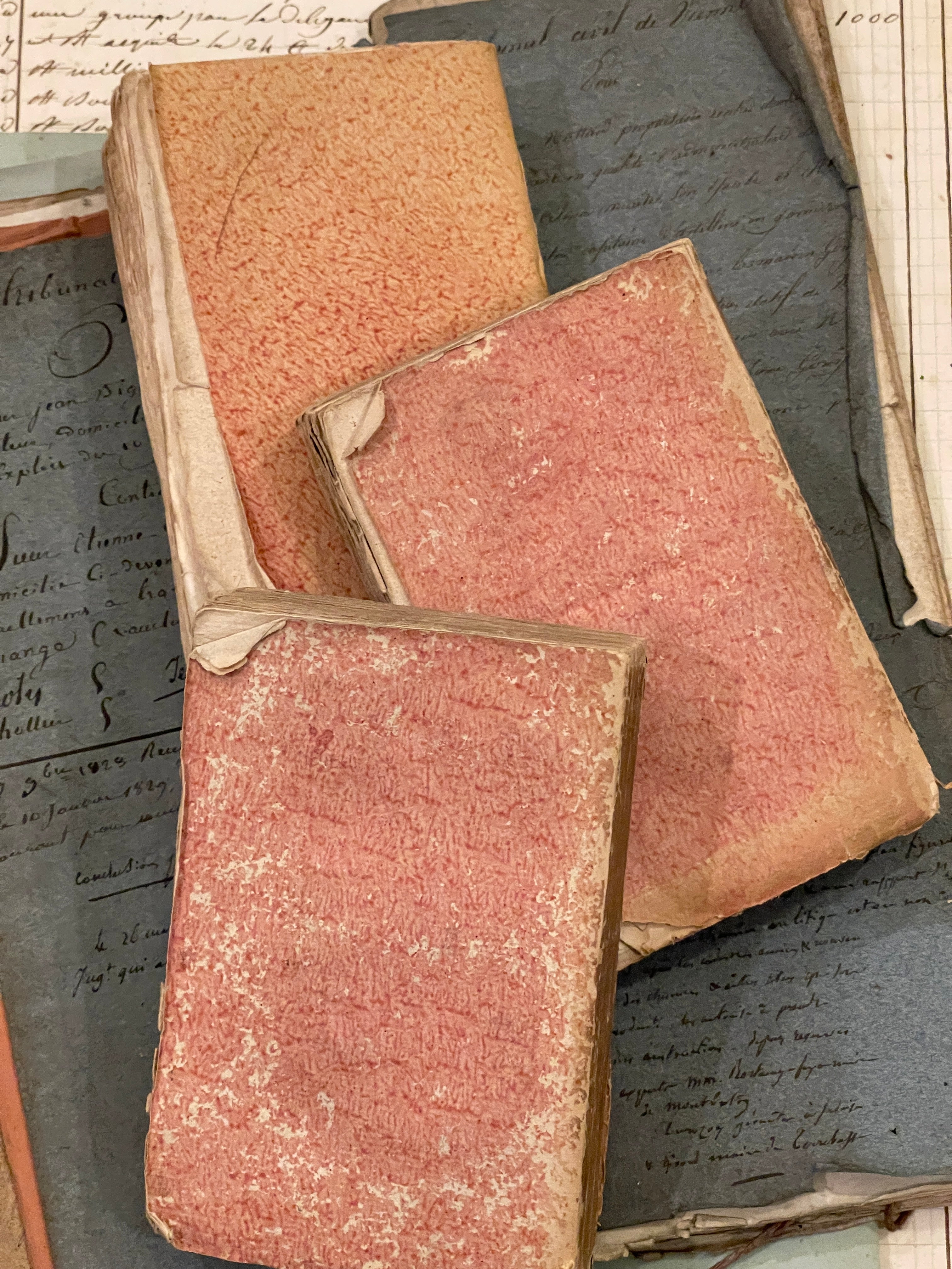 Darling Antique French Deckled Edge PINK Paste Paper Books