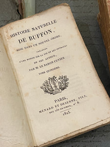 Darling Antique French Deckled Edge PINK Paste Paper Books