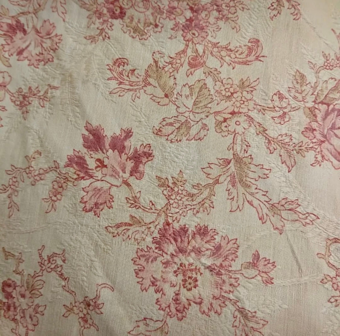 Antique 1880s French Printed Cotton *