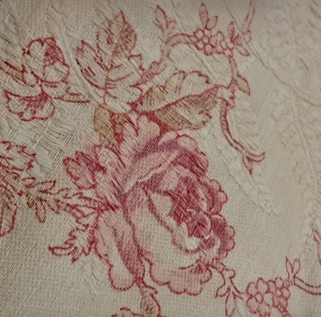 Antique 1880s French Printed Cotton *