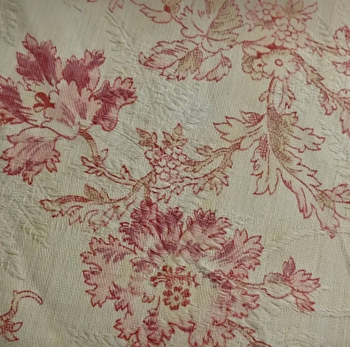 Antique 1880s French Printed Cotton *