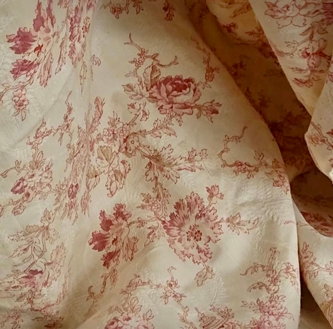 Antique 1880s French Printed Cotton *