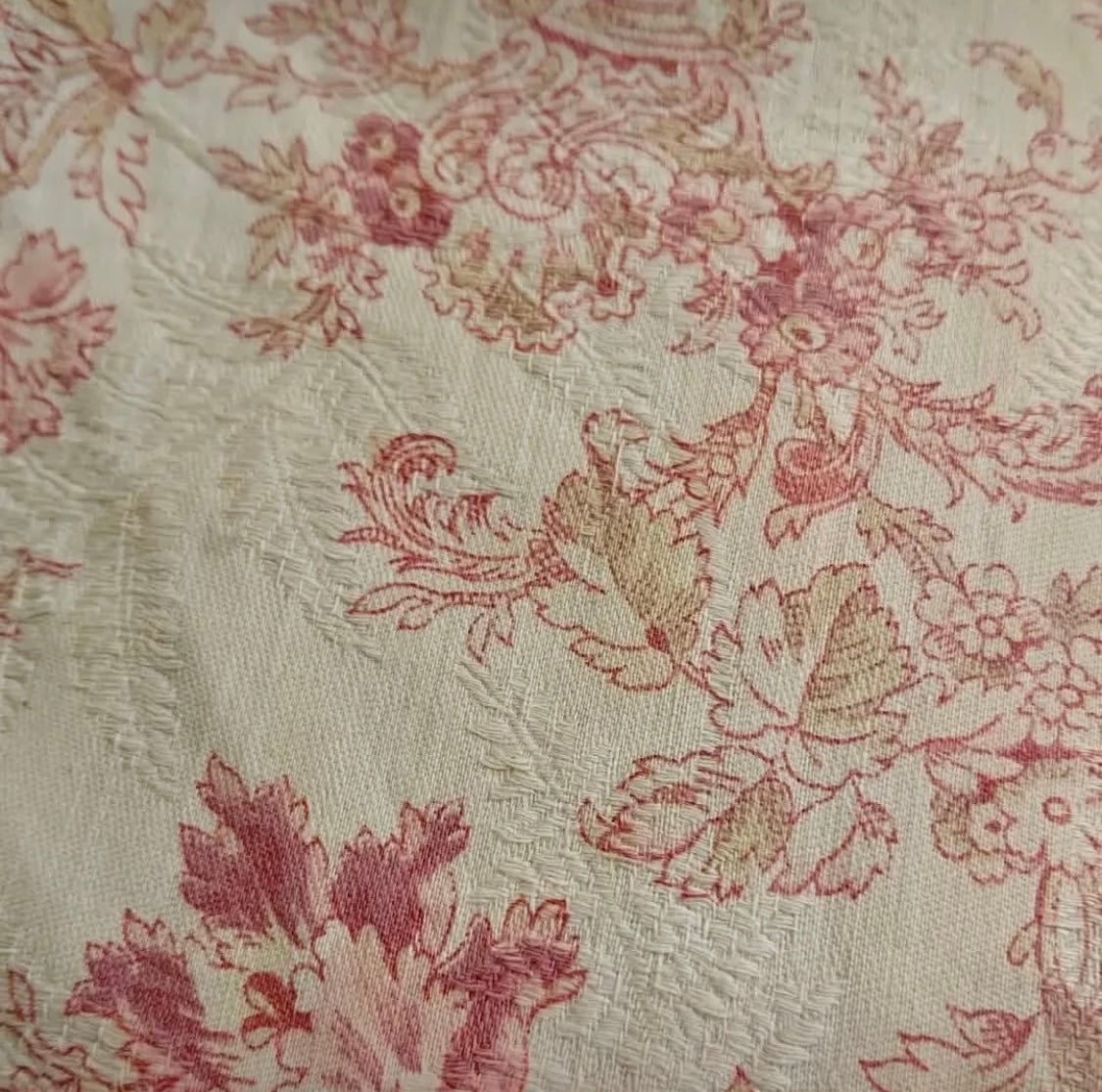 Antique 1880s French Printed Cotton *