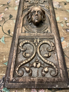 Antique Hand Carved French Wood Panel - B