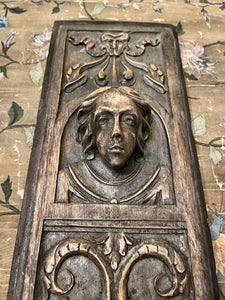 Antique Hand Carved French Wood Panel - B