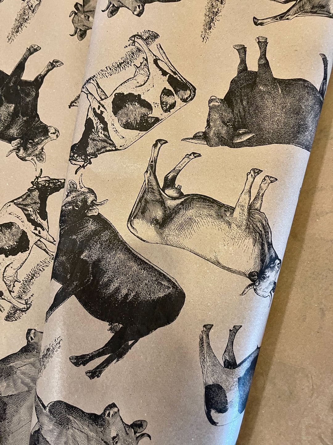 Cows