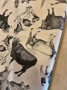 Cows