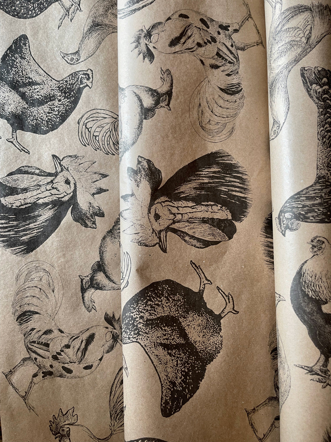 Chickens Paper β Monahan Papers