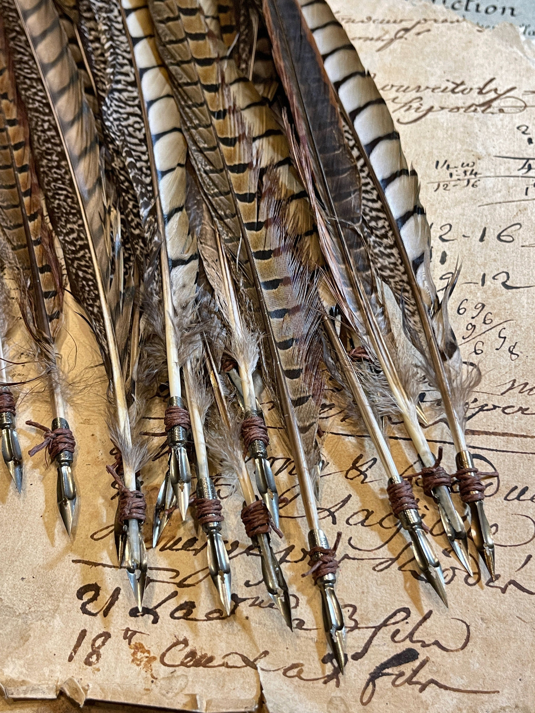 Long Pheasant Quill With Antique Nib