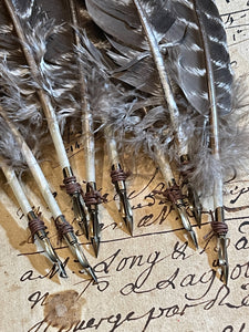 Striped Quill With Antique Nib