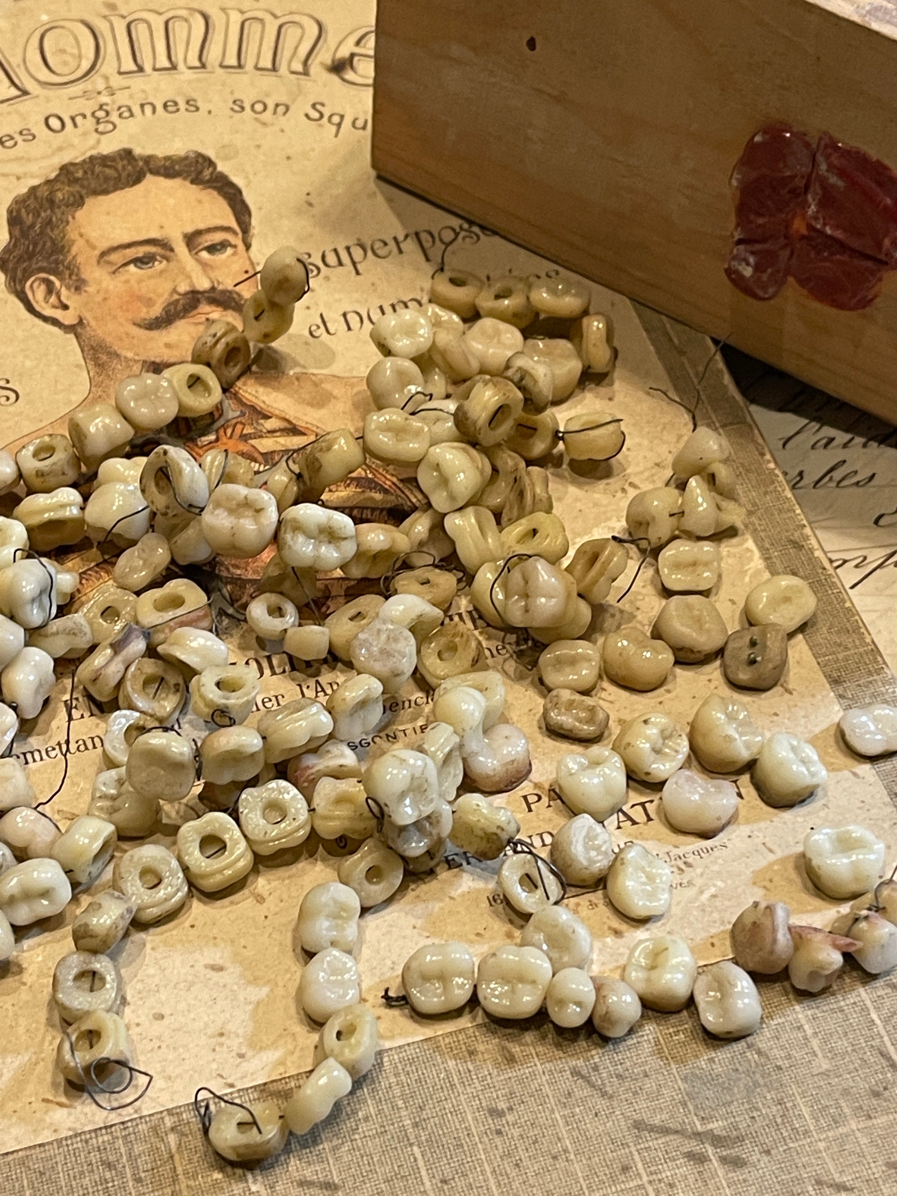 Antique French FAKE teeth from a Dentists office
