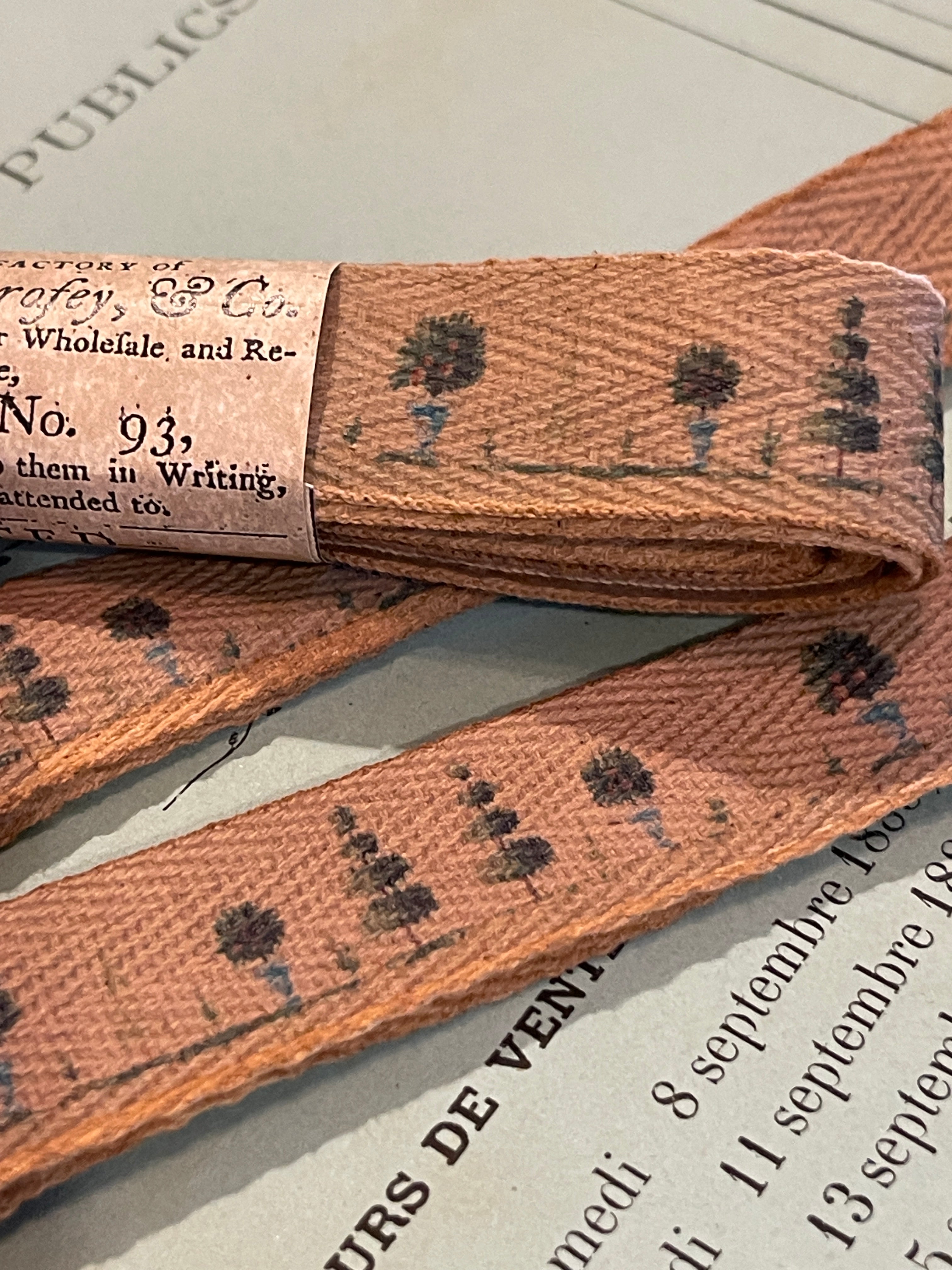 French Topiary Wallpaper Ribbon
