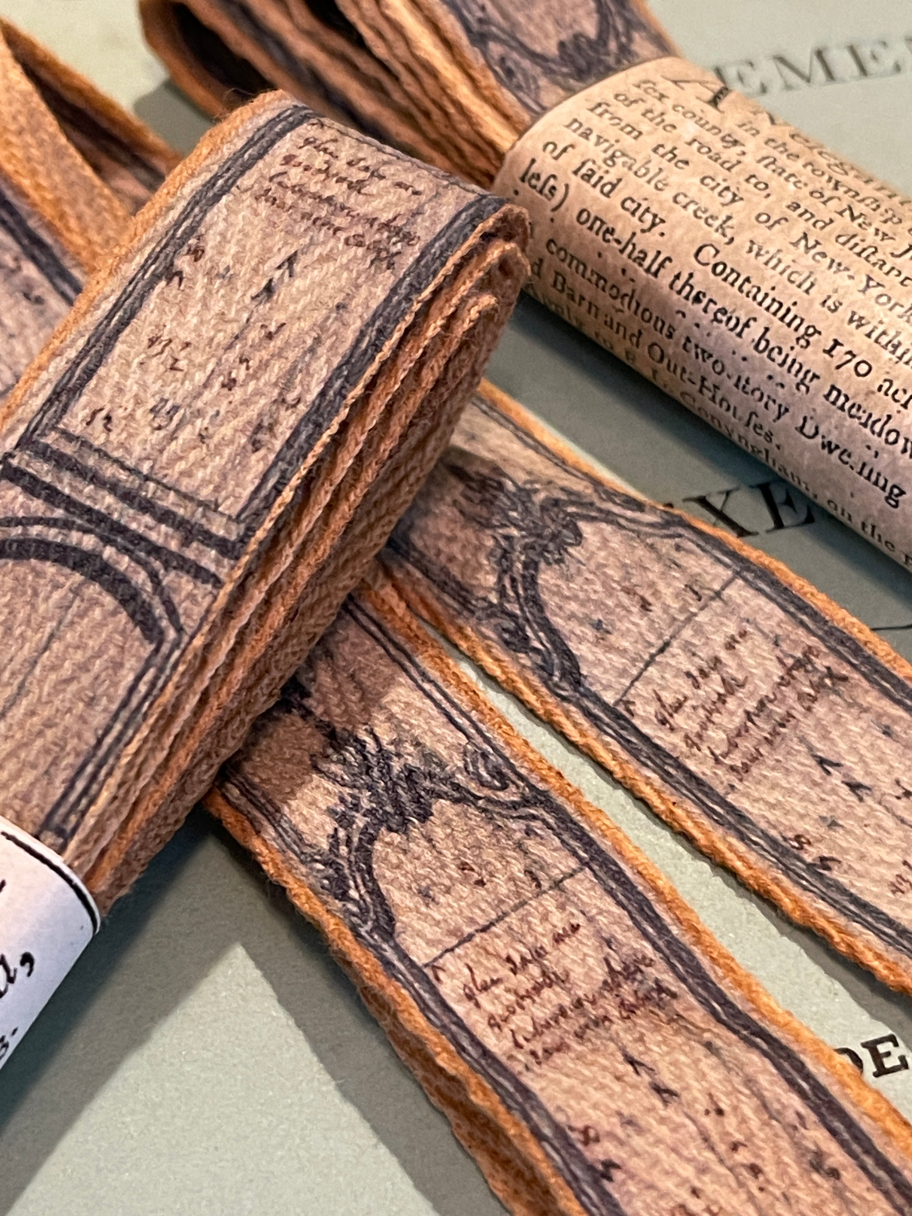 French Wallpaper Panel Ribbon