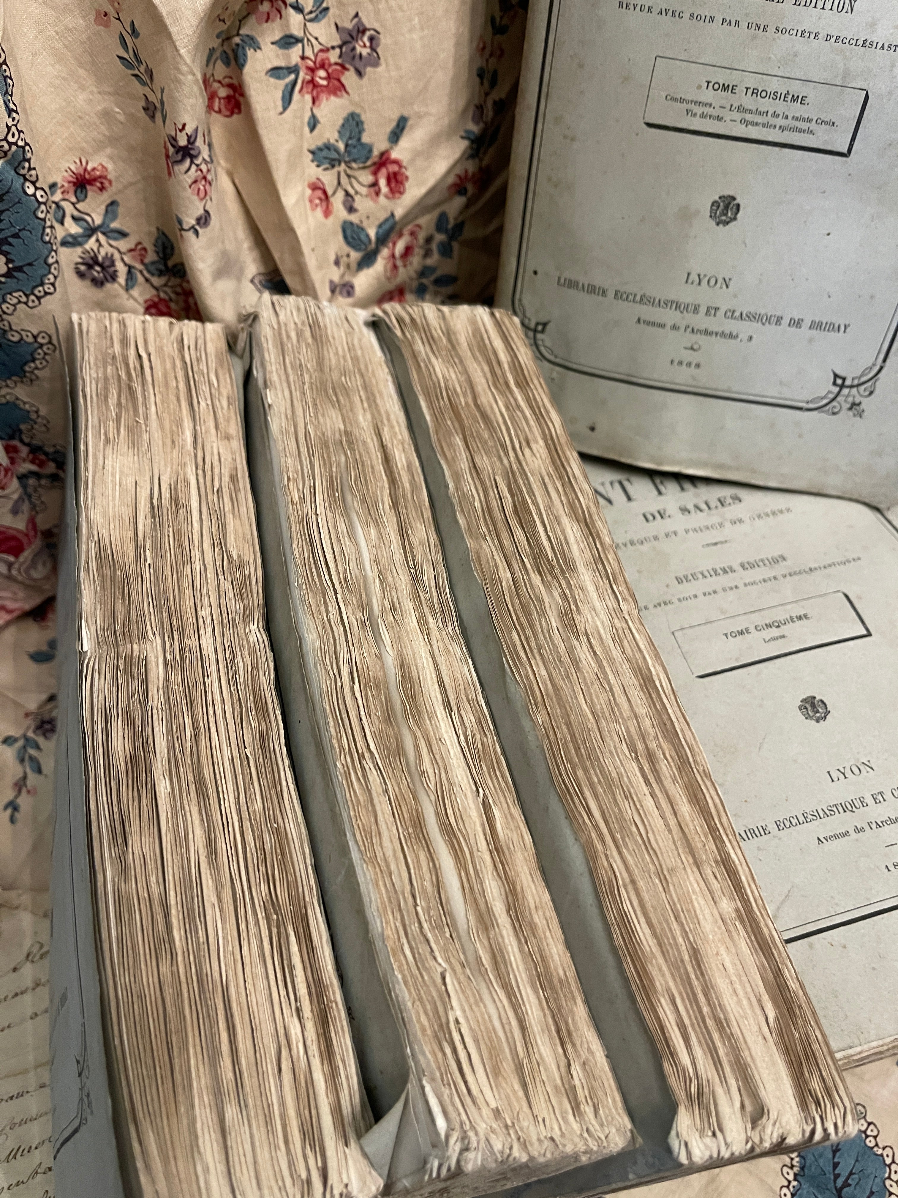 Antique 1860's PALE BLUE/SLATE  French Deckled Edge Books