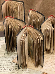 Beautiful Mini French Scrapbooks over 100 years old