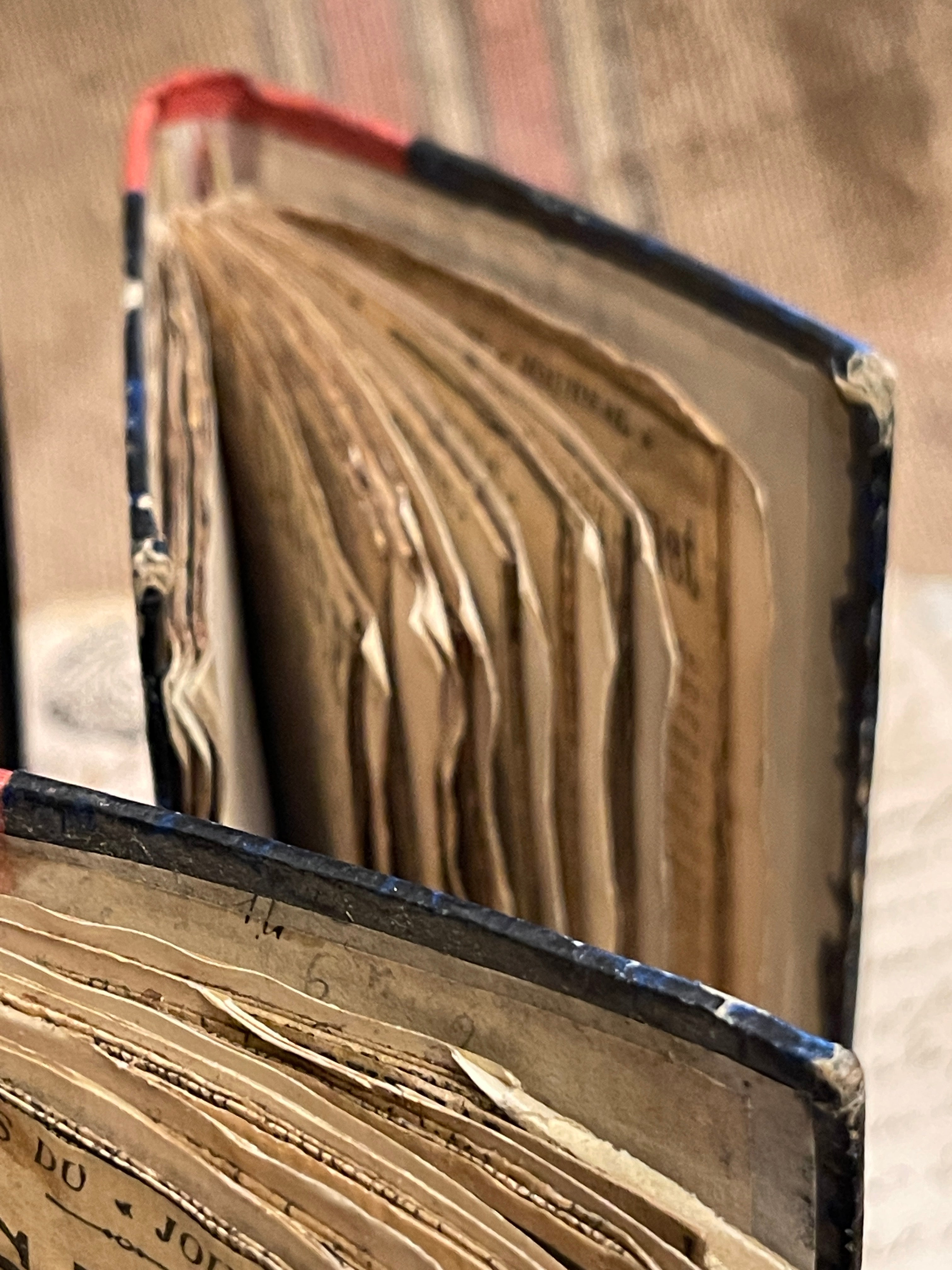 Beautiful Mini French Scrapbooks over 100 years old