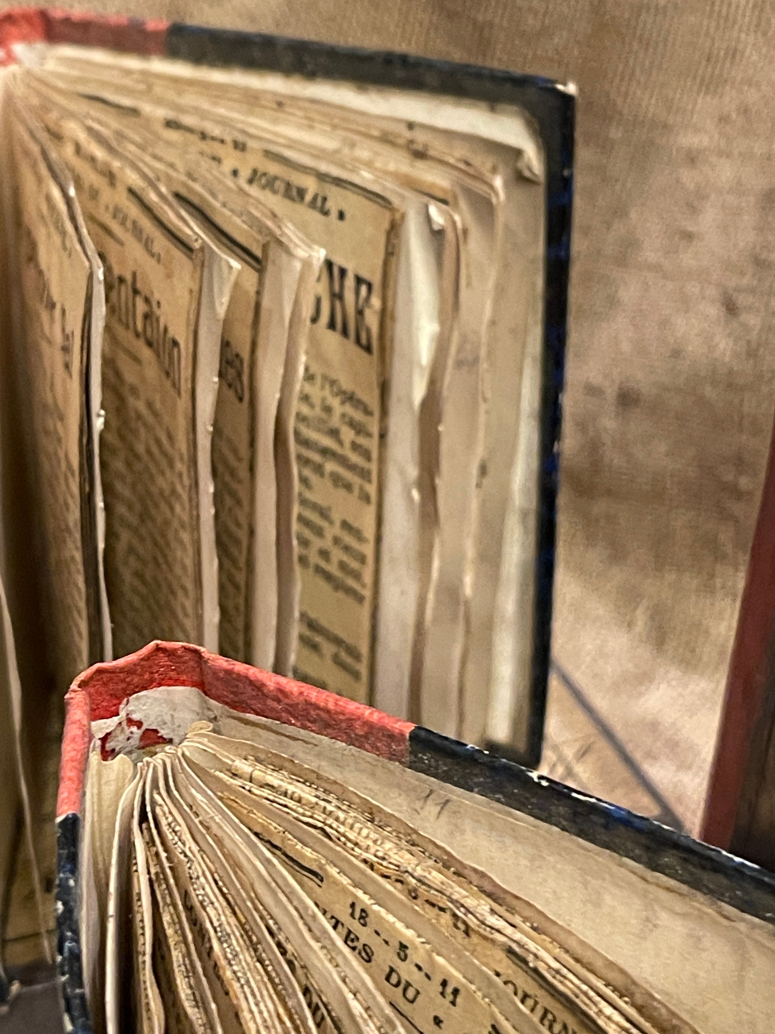 Beautiful Mini French Scrapbooks over 100 years old