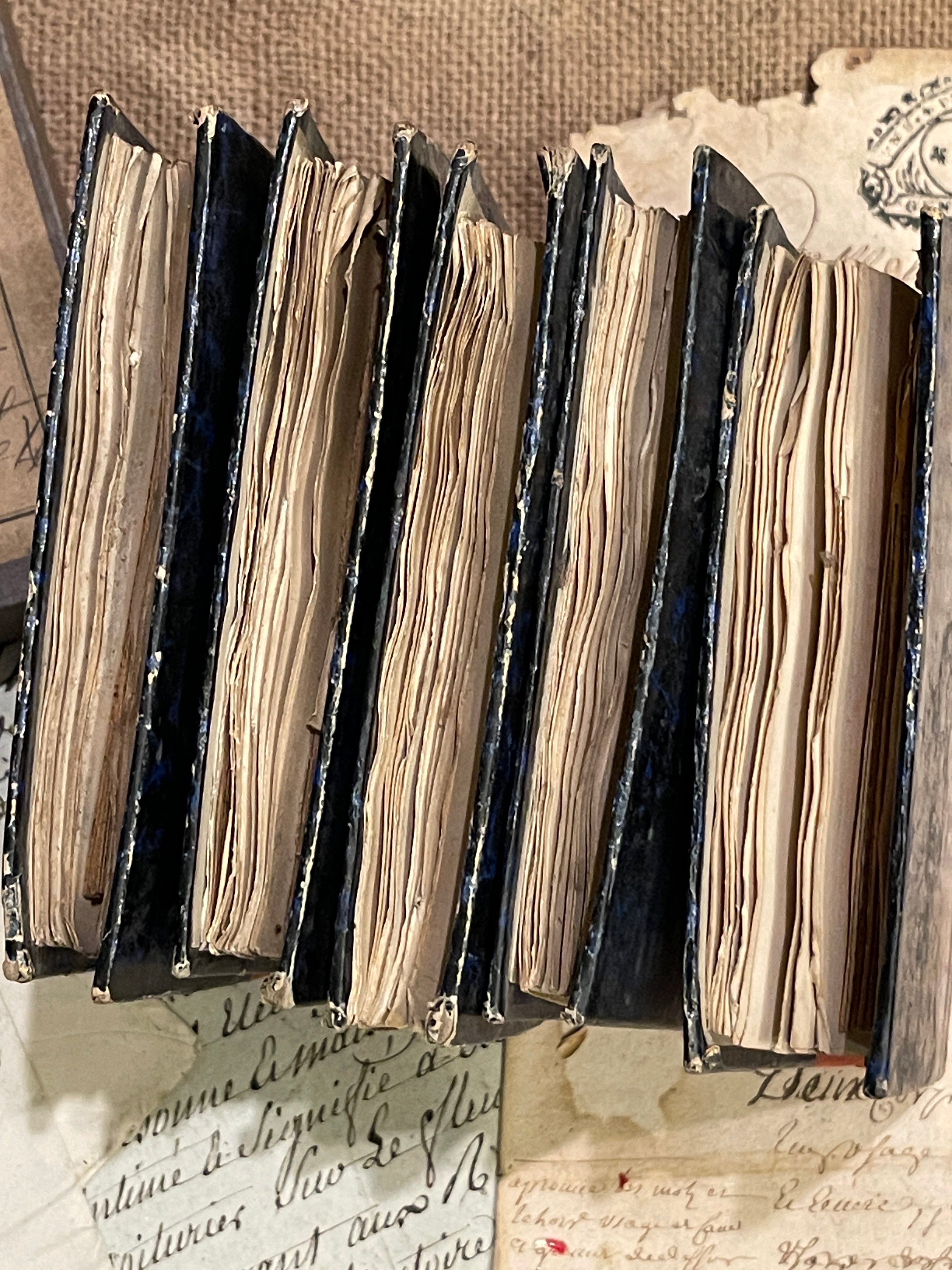 Beautiful Mini French Scrapbooks over 100 years old