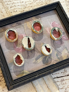 Rare Early 1800's Antique Red Sulfur Intaglios