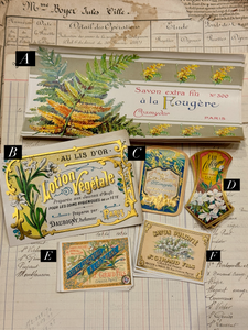 Antique Original French Perfume Labels - Q