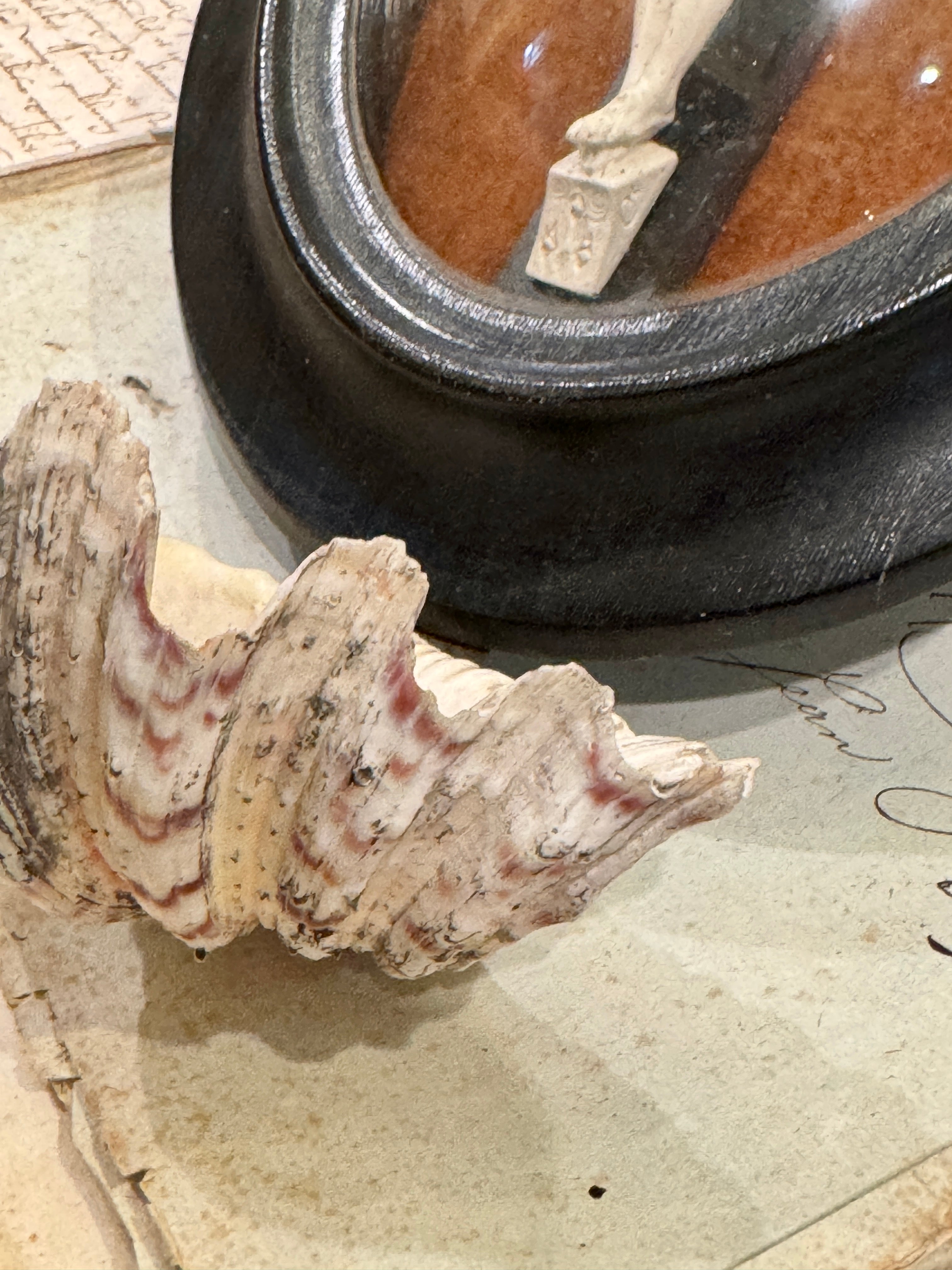 Antique French Shell and Meerschaum Holy Water Font