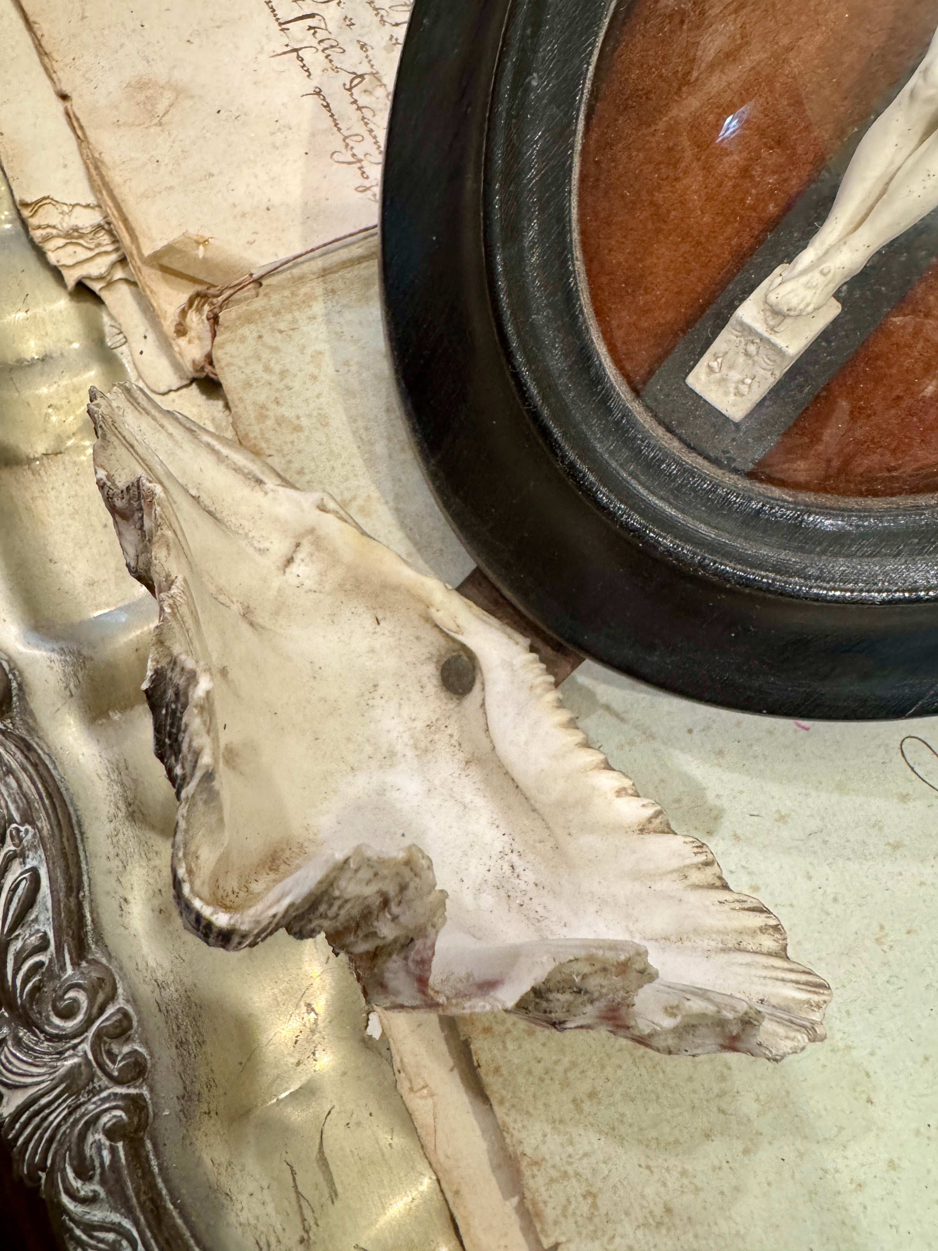 Antique French Shell and Meerschaum Holy Water Font