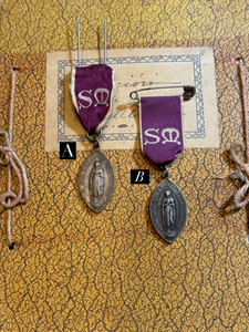 DIOCESE DE LIMOGES to LOURDES Medal by PANIN