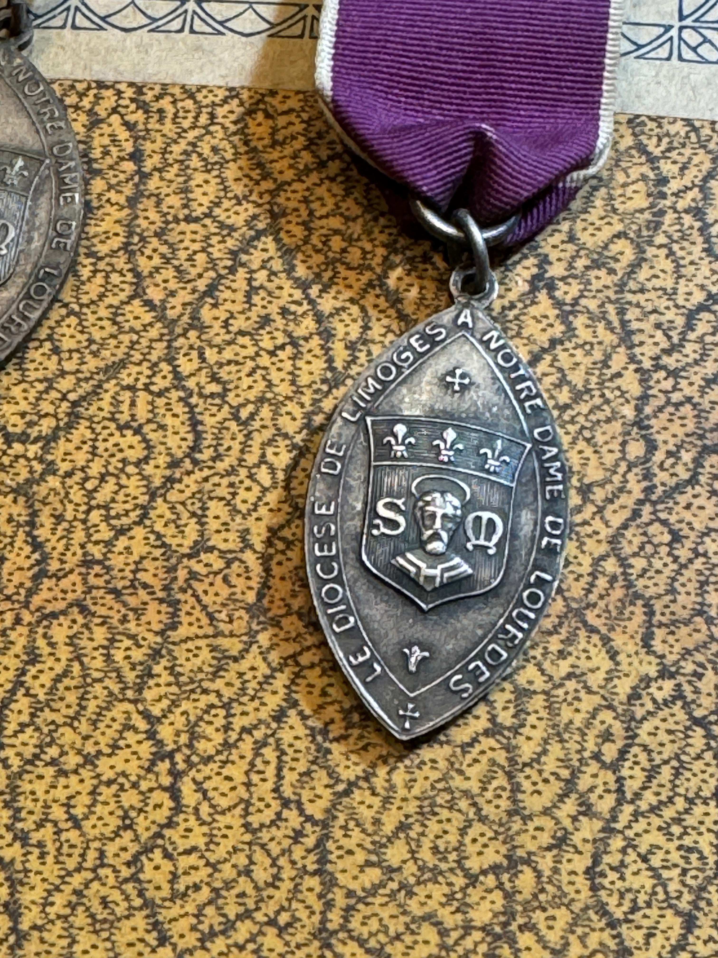 DIOCESE DE LIMOGES to LOURDES Medal by PANIN
