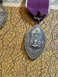 DIOCESE DE LIMOGES to LOURDES Medal by PANIN