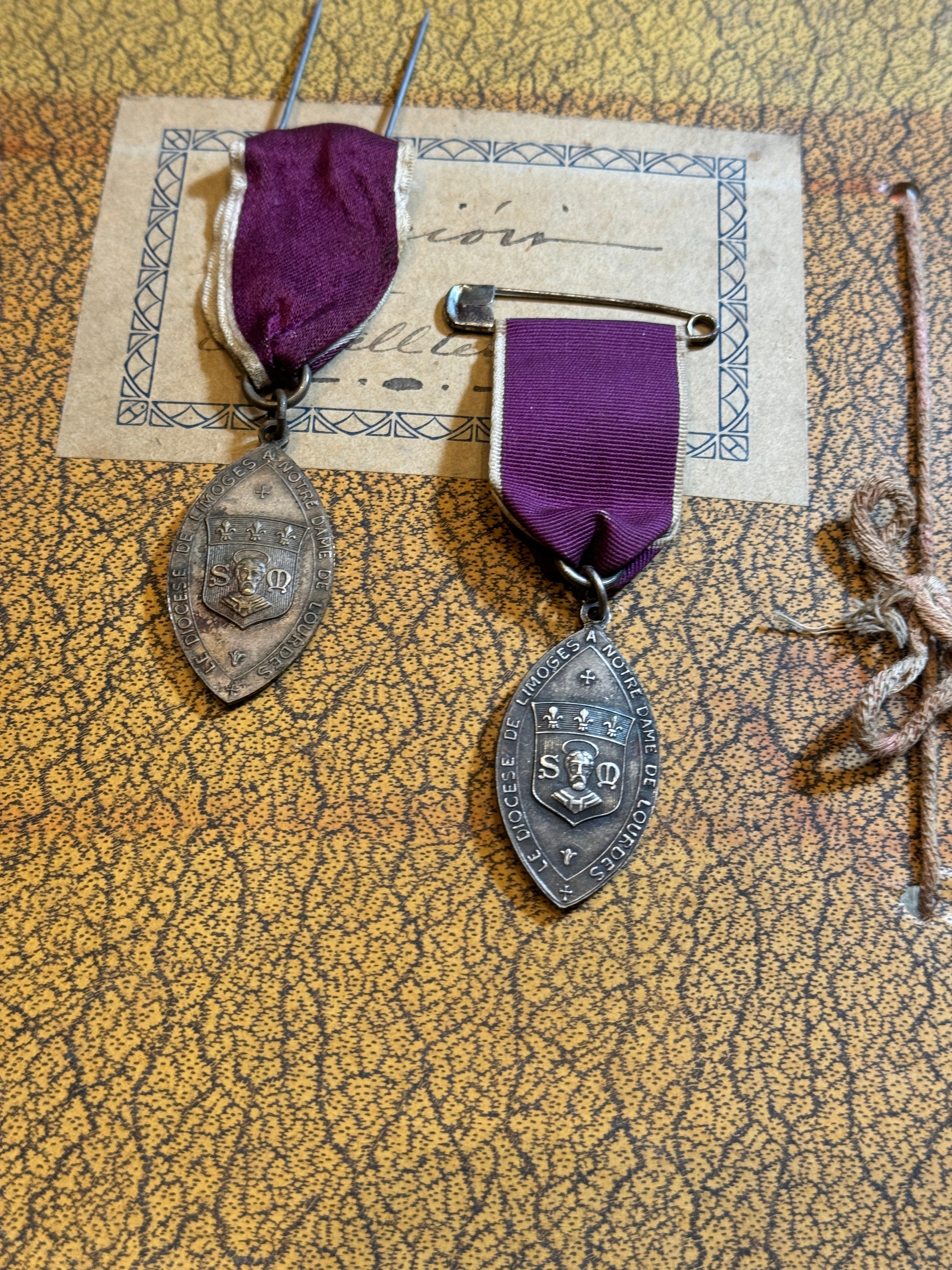 DIOCESE DE LIMOGES to LOURDES Medal by PANIN