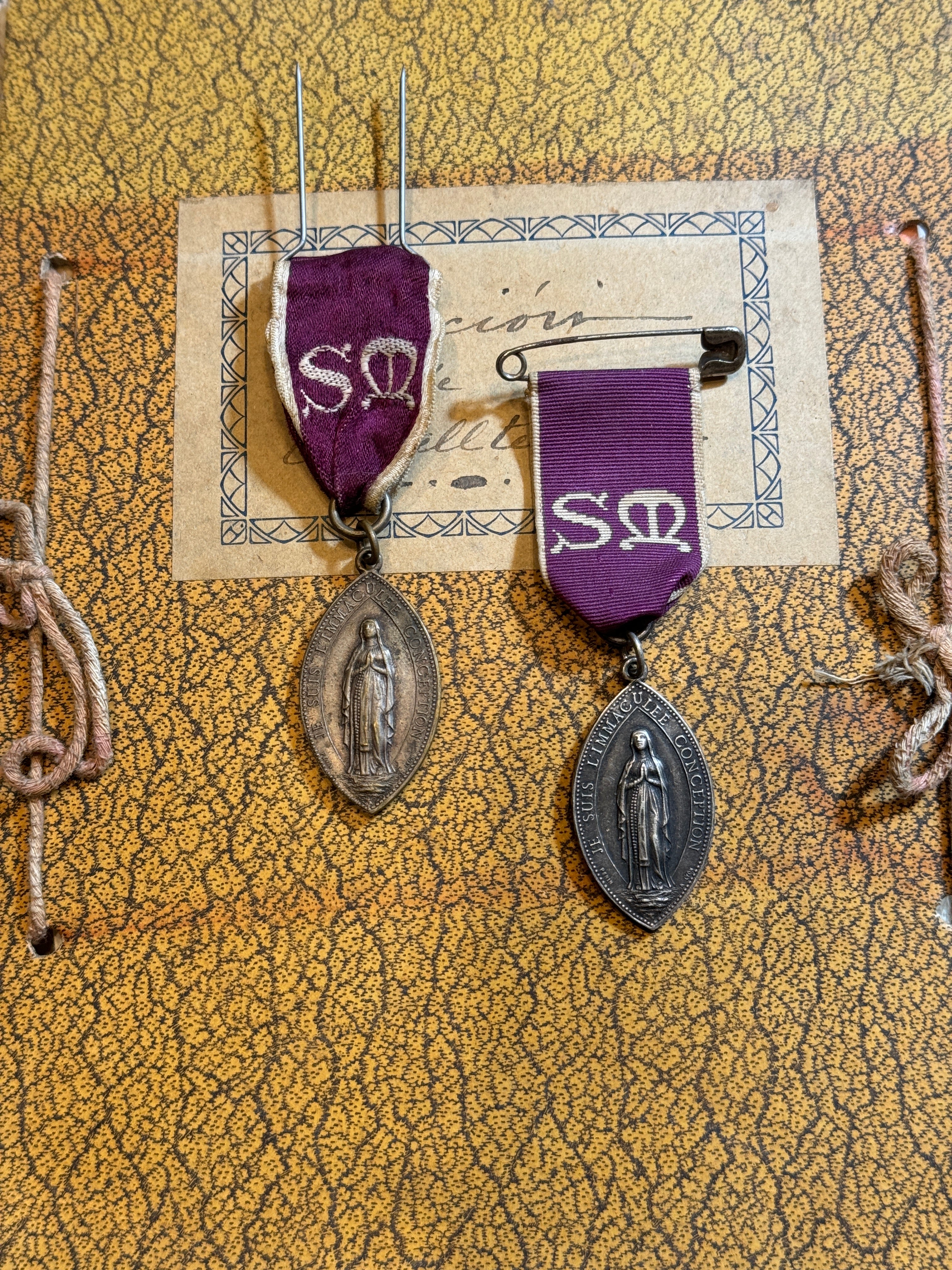 DIOCESE DE LIMOGES to LOURDES Medal by PANIN