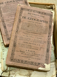 1820s PINK French DICTIONNAIRE De Geographie