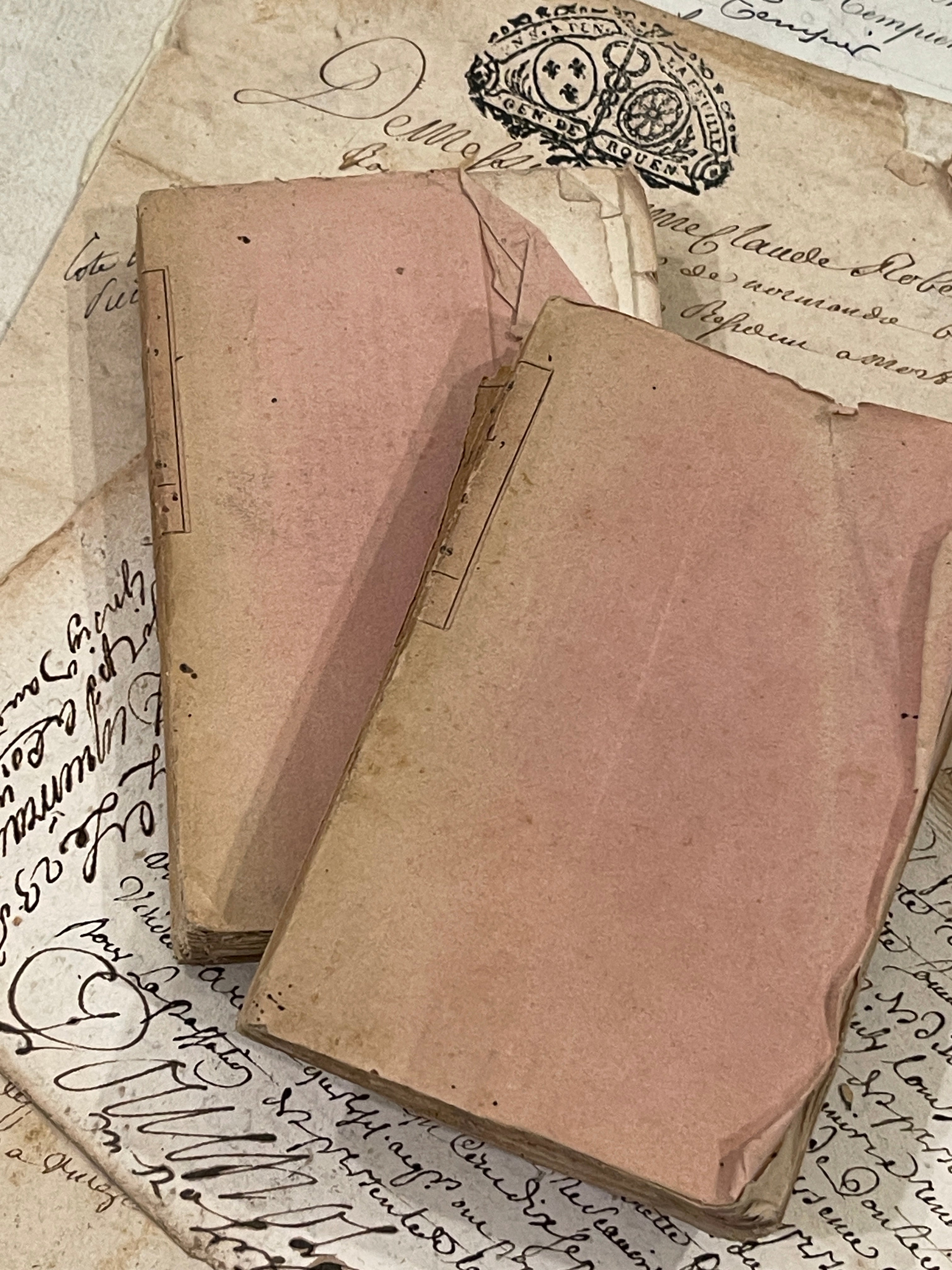 Lovely Antique Pink Deckled Edge French Books