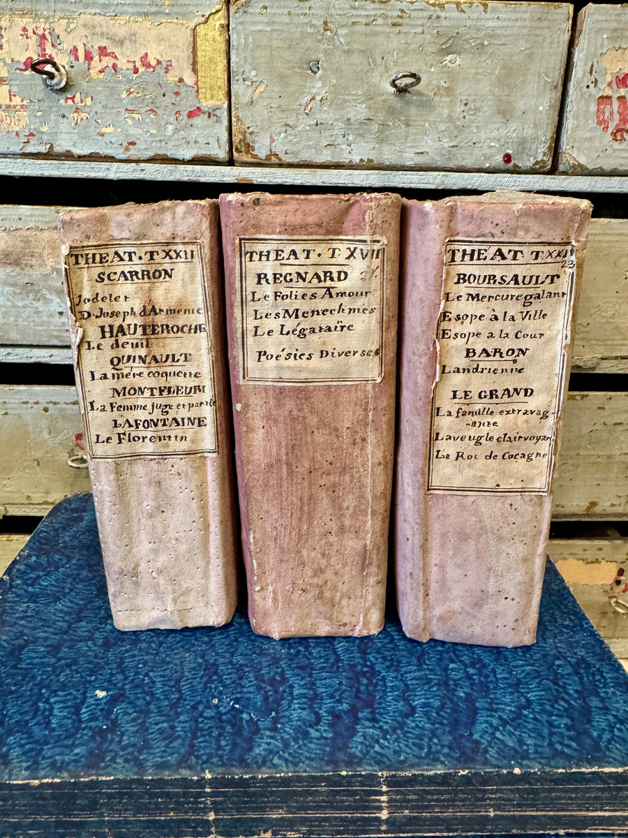 Wonderful 1800s Fat and Chunky French Pink Books – Monahan Papers