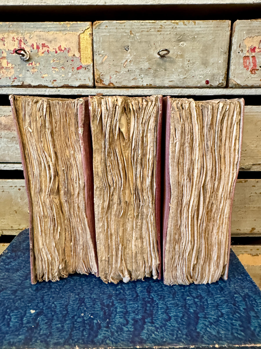 Wonderful 1800s Fat and Chunky French Pink Books – Monahan Papers