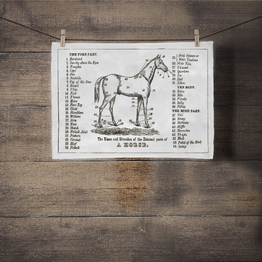The Horse Towel