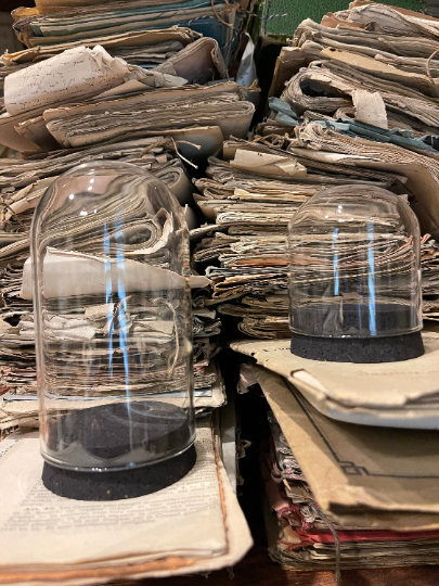 Assorted Cloches