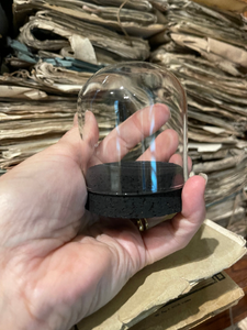 Assorted Cloches