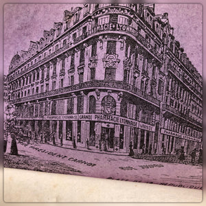 Antique 1864 - French Almanach de la mere Gigogne PURPLE Book