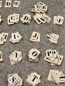RARE Antique French Bone Alphabet Letters - Findings from France
