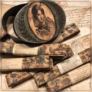 French Botanical Ribbon - Bot1
