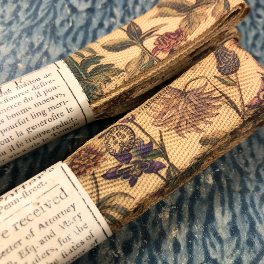 French Botanical Ribbon - Bot1