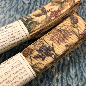 French Botanical Ribbon - Bot1