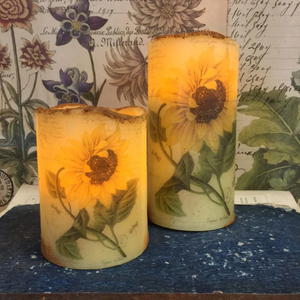Flameless LED 4" or 6" BOT54 Pillar candle with timer